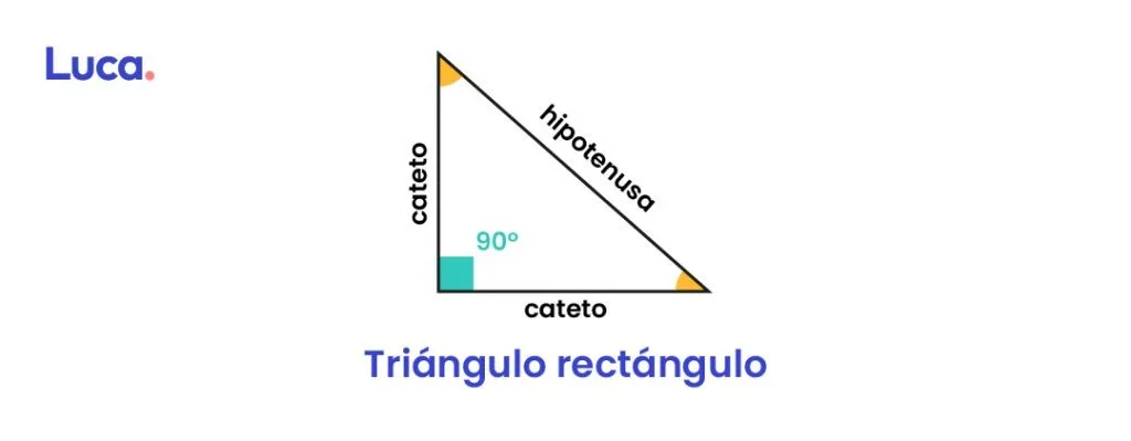 Triangulo rectangulo