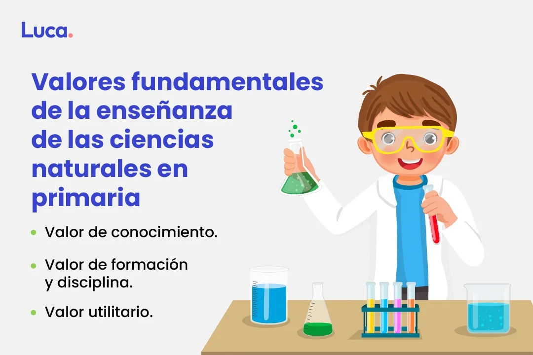 por que es importante enseñar ciencias naturales en primaria