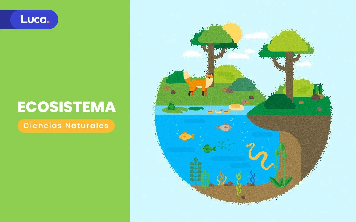 Tipos de ecosistemas terrestres, acuáticos y mixtos