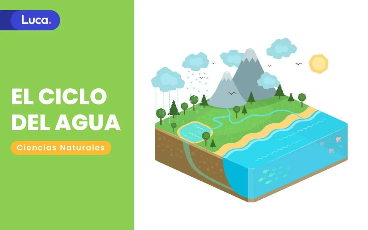 Diagrama del ciclo del agua en la naturaleza