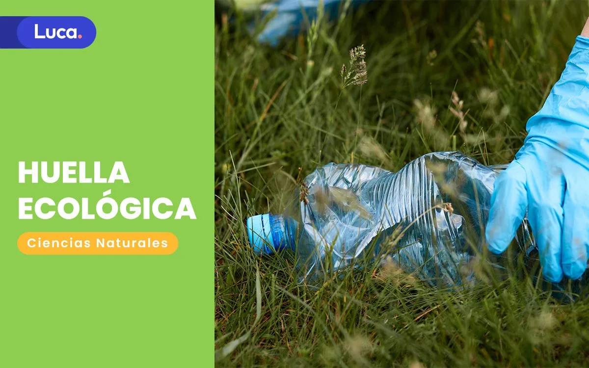 Indicador de huella ecológica e impacto ambiental humano