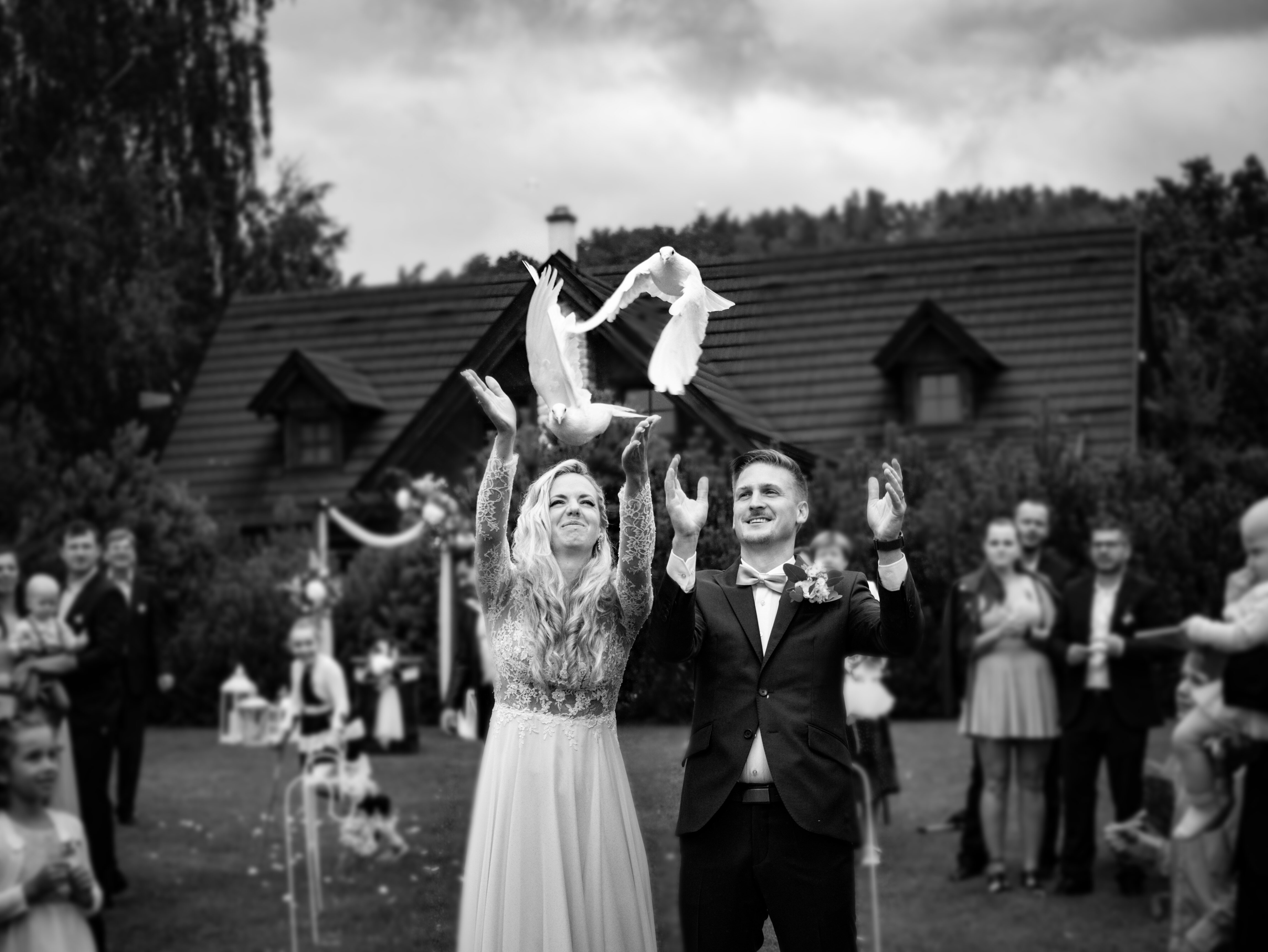 holubice