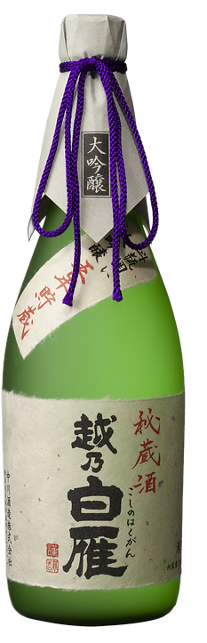 Koshinohakugandaiginjohizoshu
