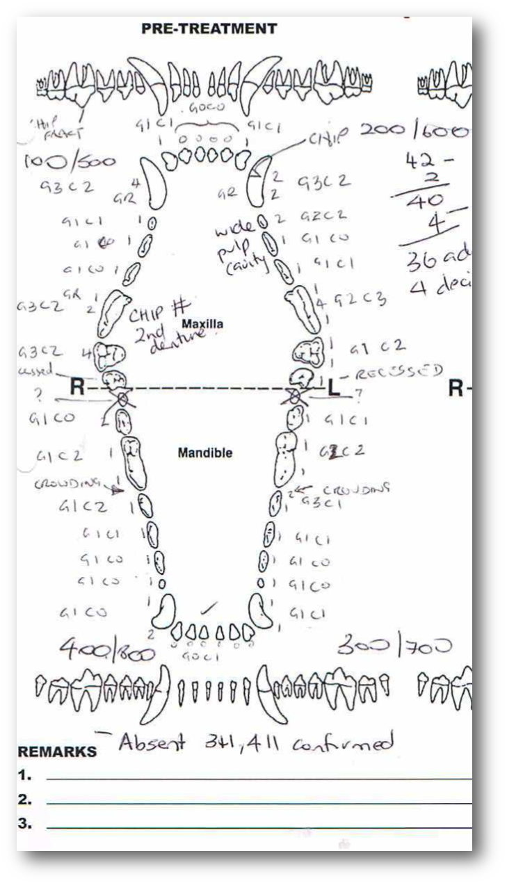 canine dental chart template