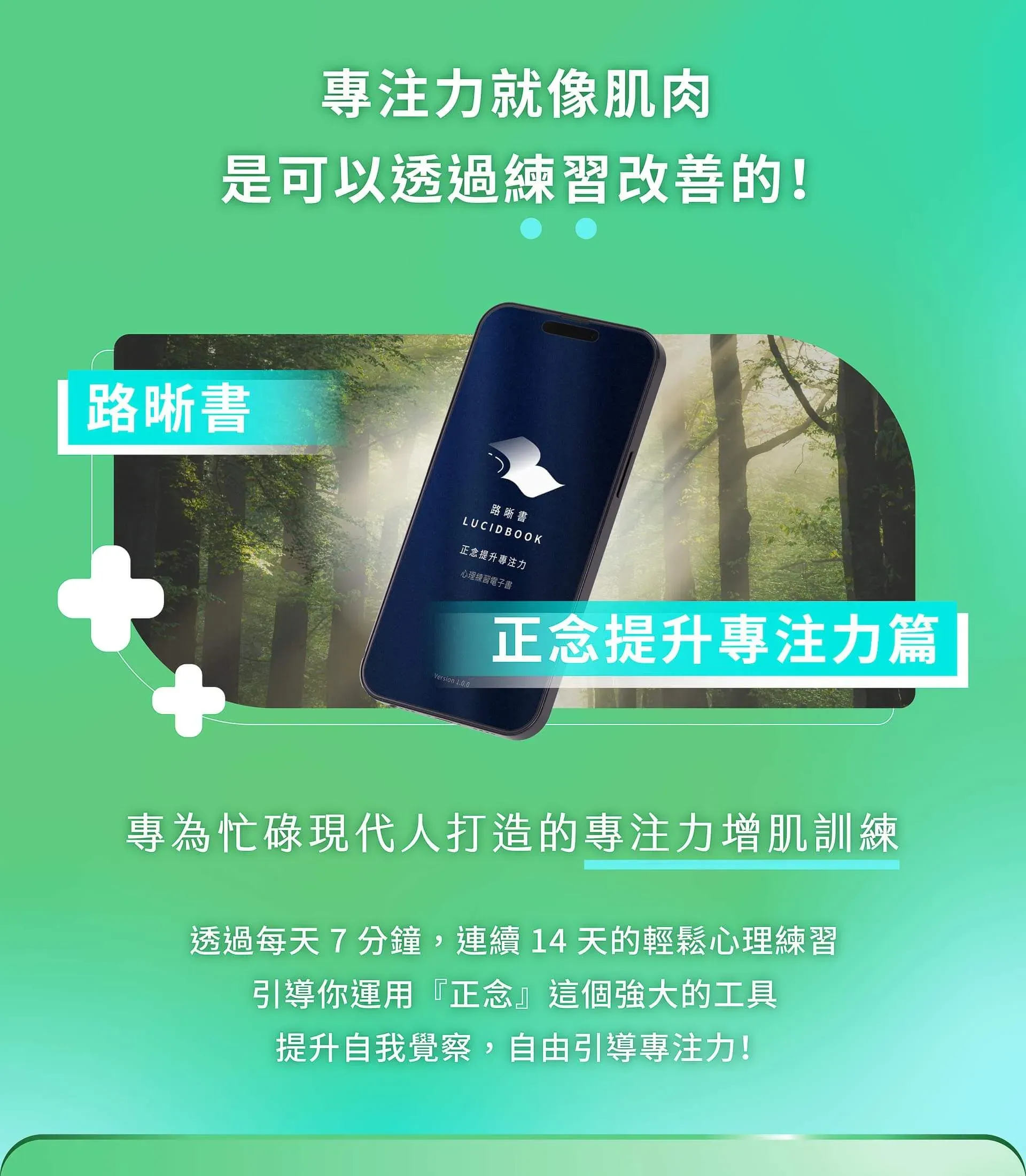 3.webp