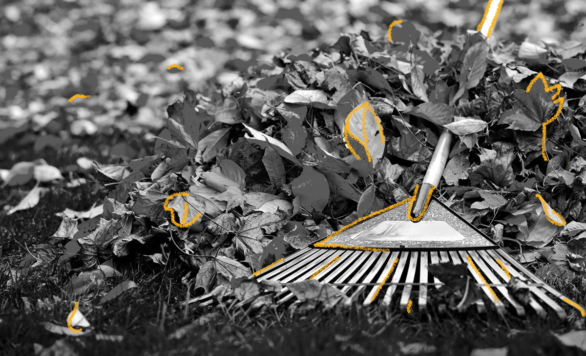 The History of the Garden Rake