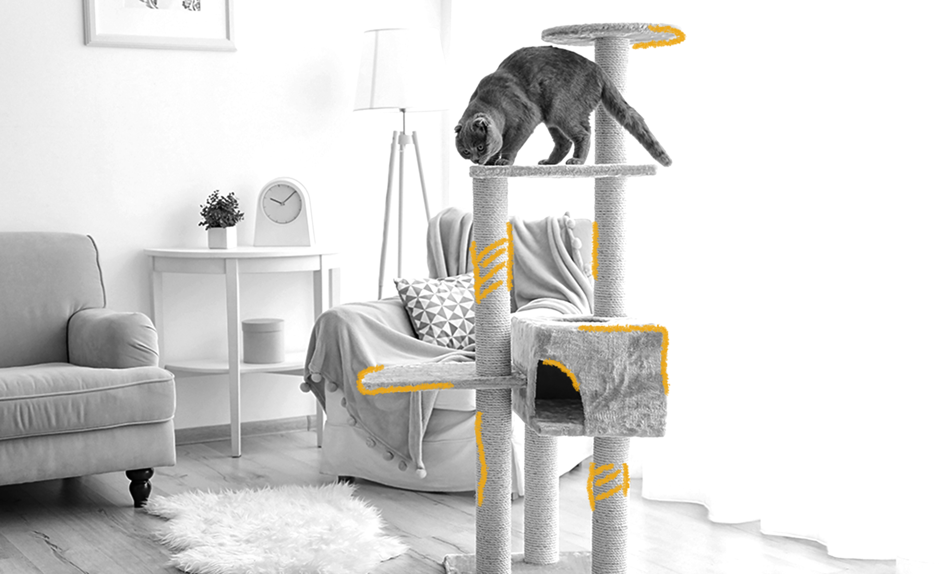 The History of Cat Trees