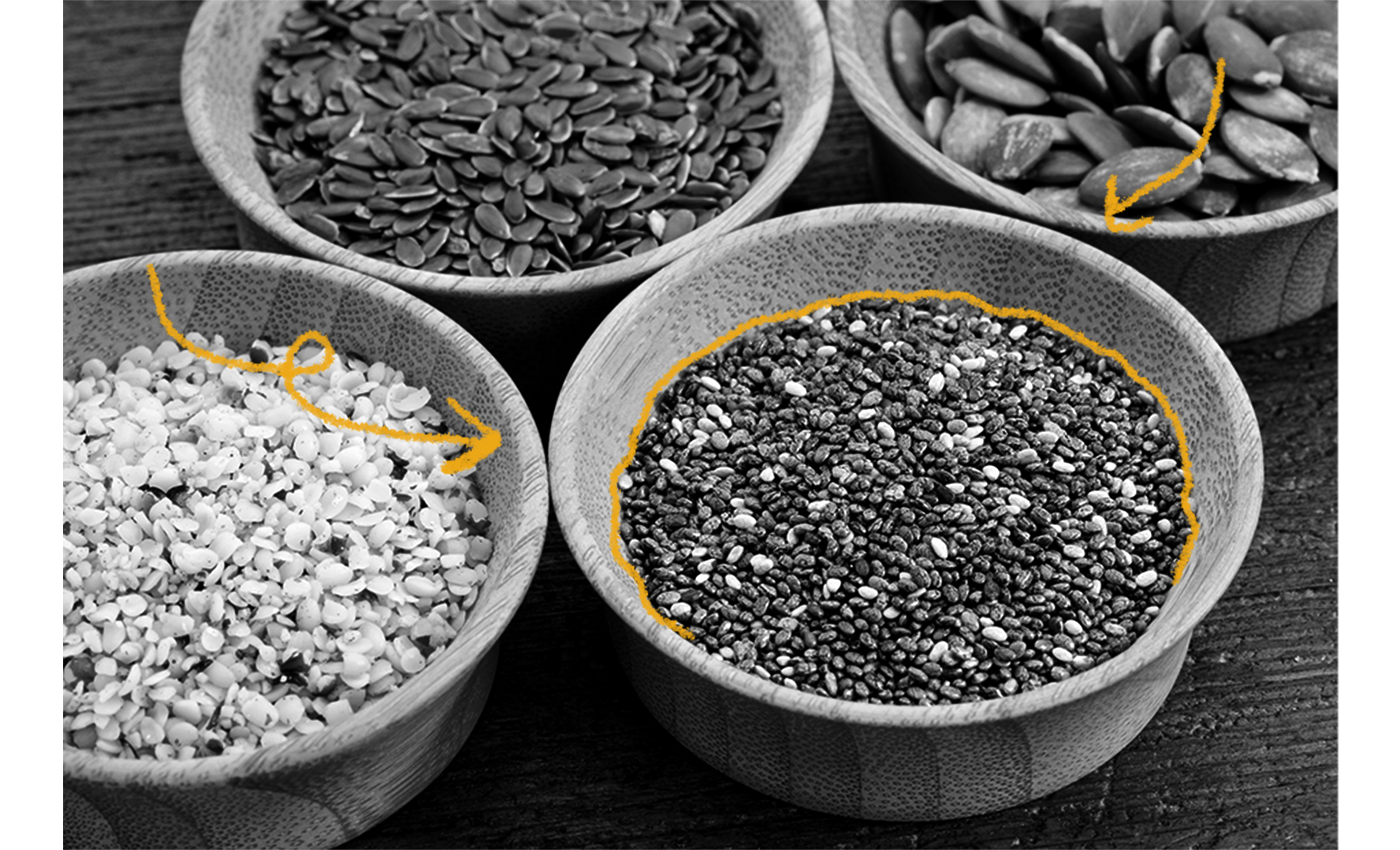 The History of Chia Seeds