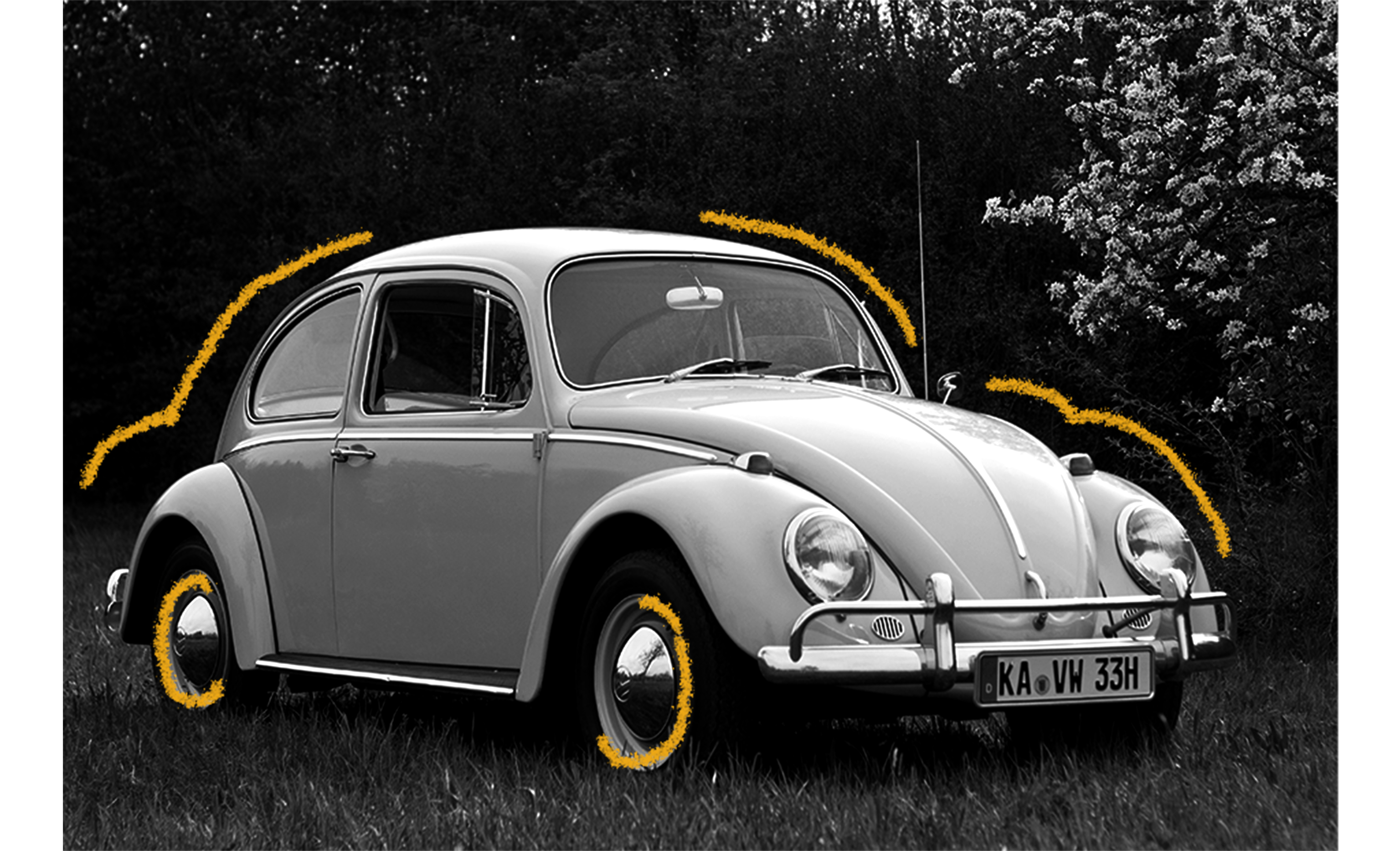 The History of the Volkswagen Beetle