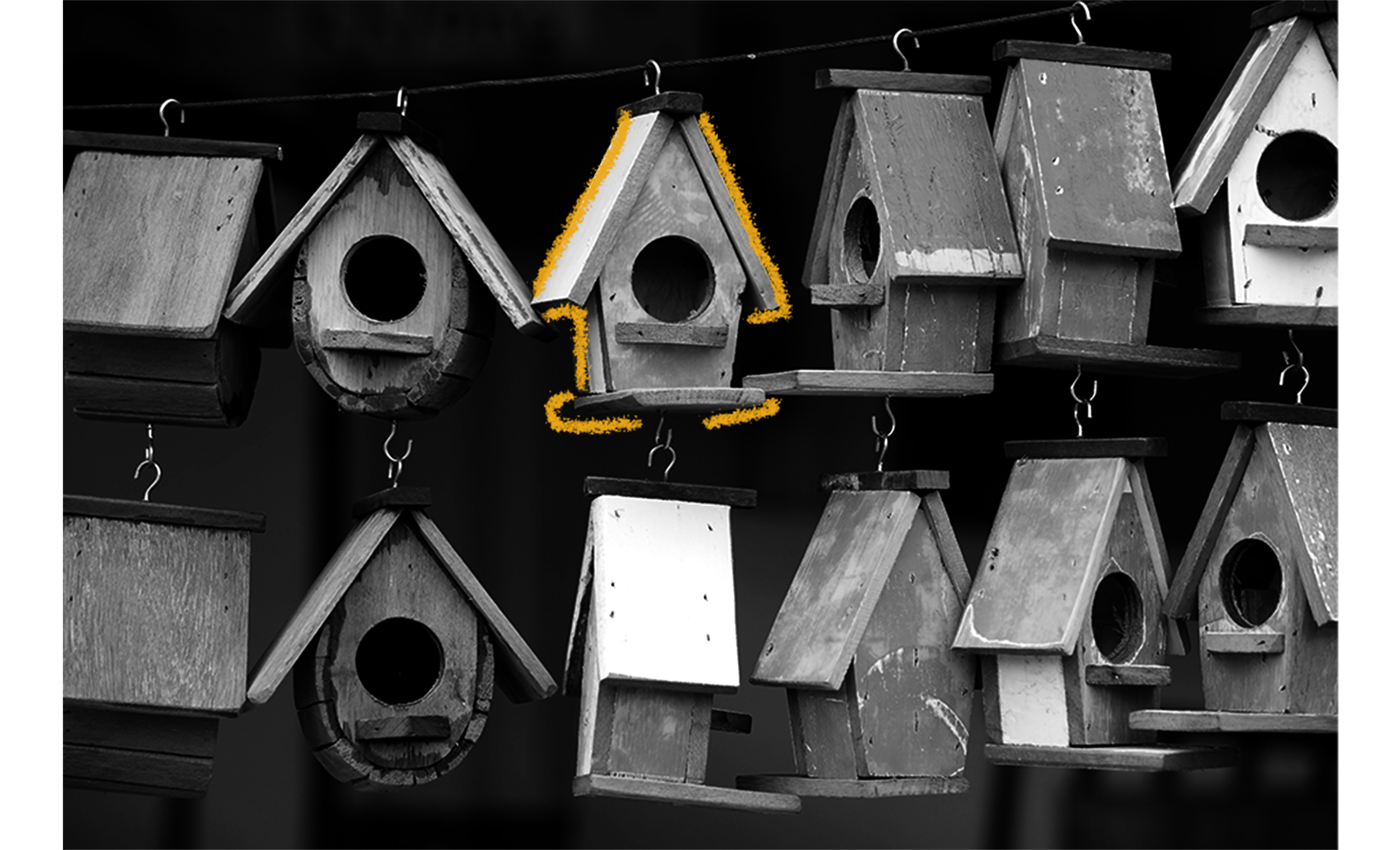 The History of Birdhouses
