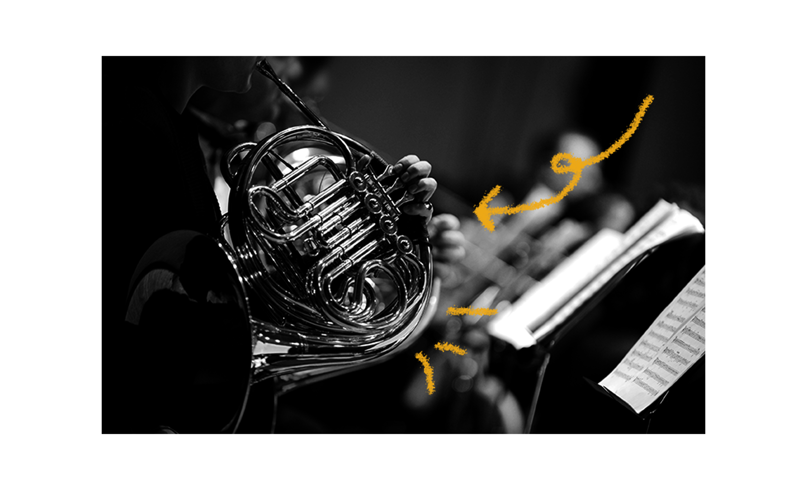 The History of the French Horn