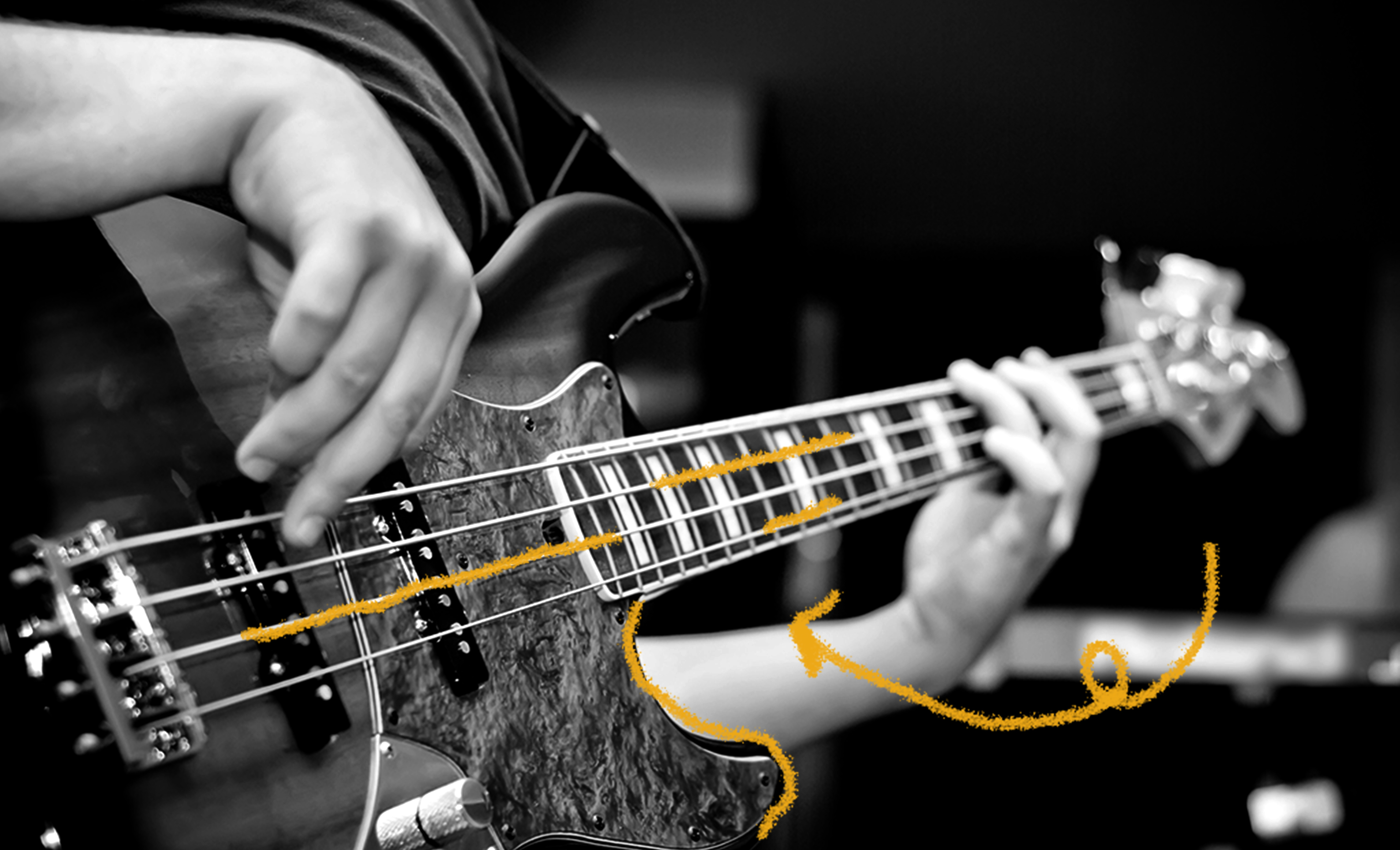 The History of Bass Guitars