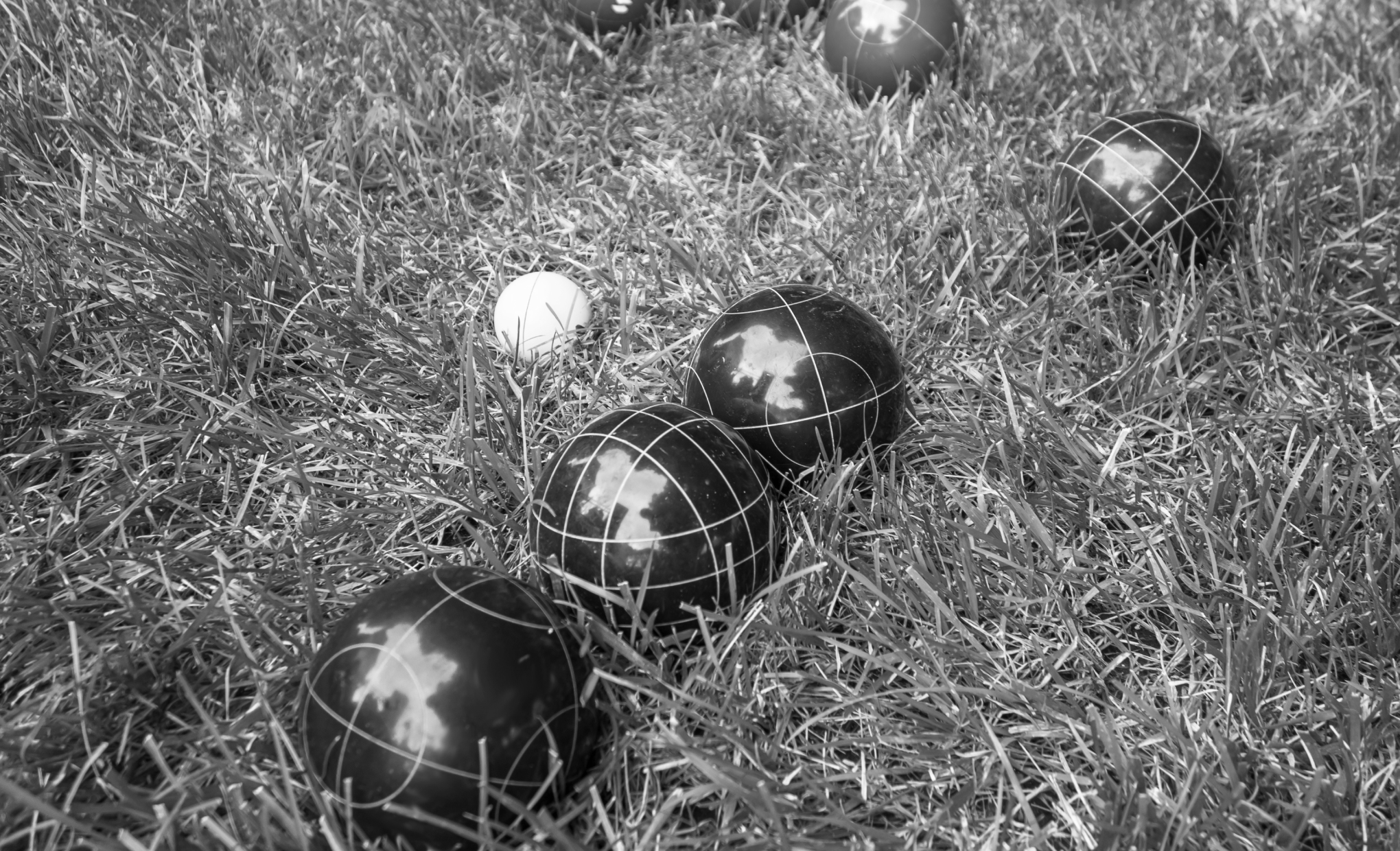 The History of Bocce Ball