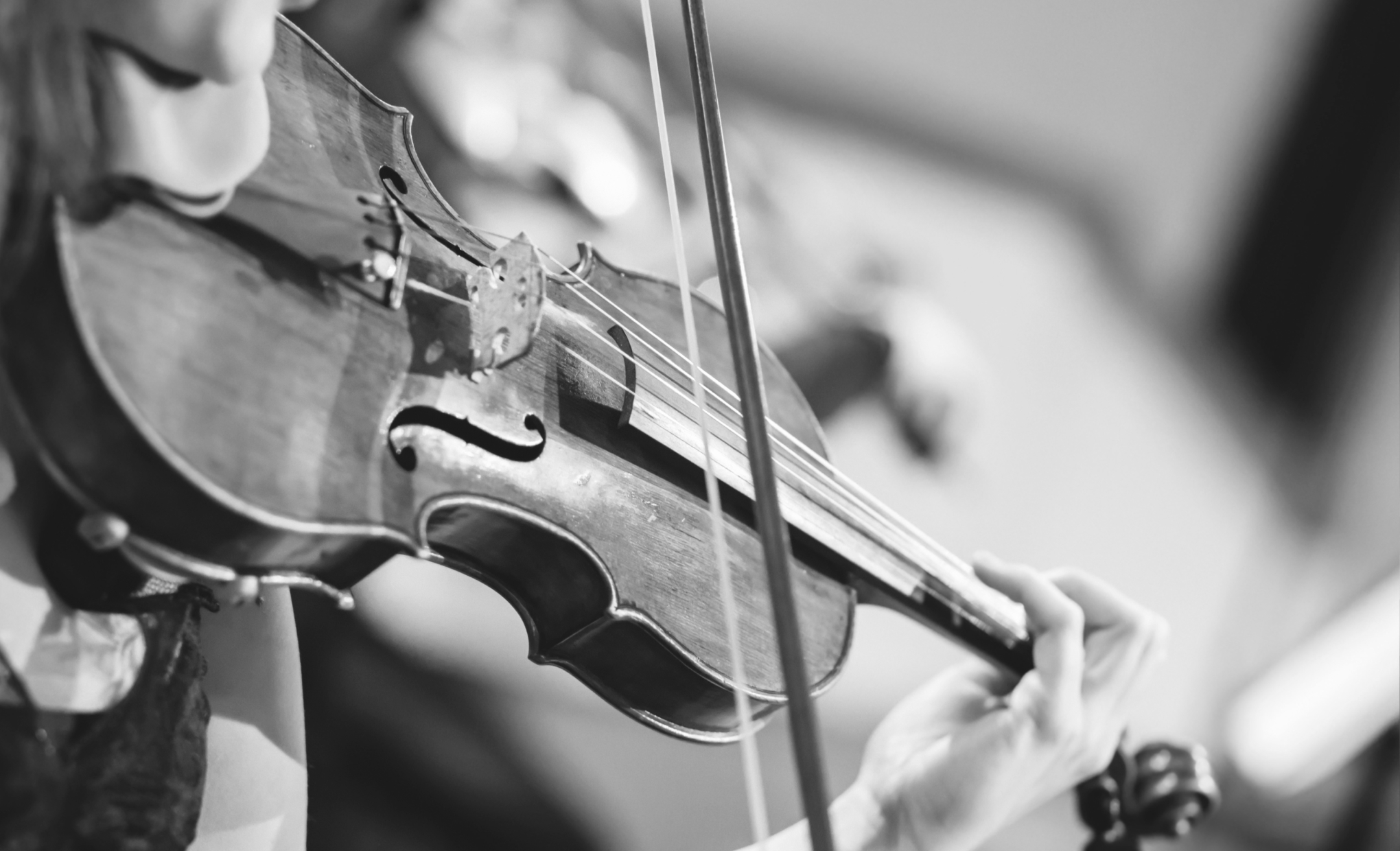 The History of the Violin