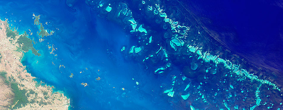The Great Barrier Reef Is the World’s Largest Living Structure.