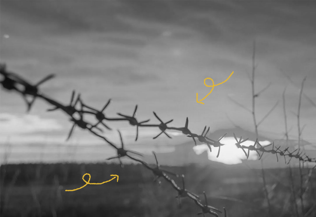 The History of Barbed Wire