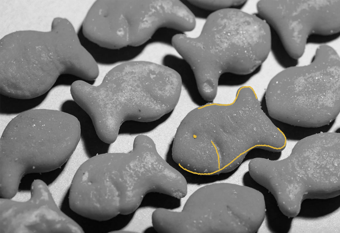 The History of Goldfish Crackers