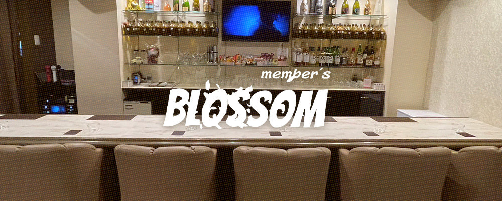 ブロッサム【member's BLOSSOM】(姫路)のキャバクラ情報詳細