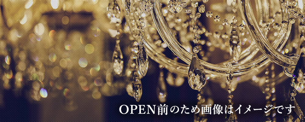 ファイン【FINE+南越谷】(南越谷)のキャバクラ情報詳細