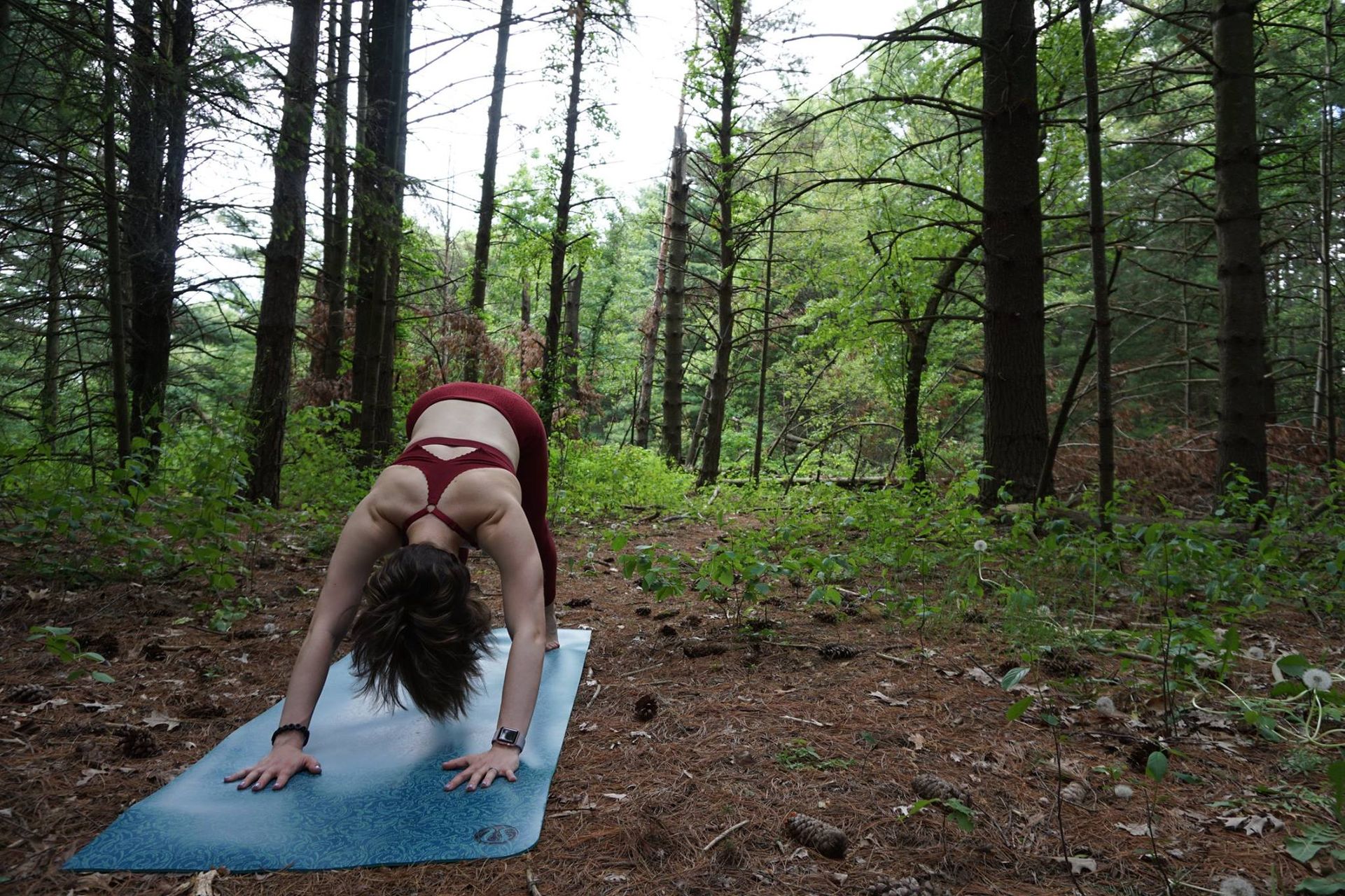 Lululemon Free Spirit Bra - Rosewood