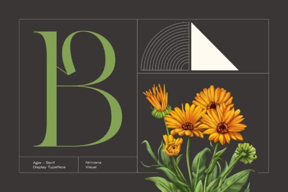 Thumbnail 2 of Ager Font