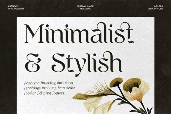 Thumbnail 2 of Agilera Font