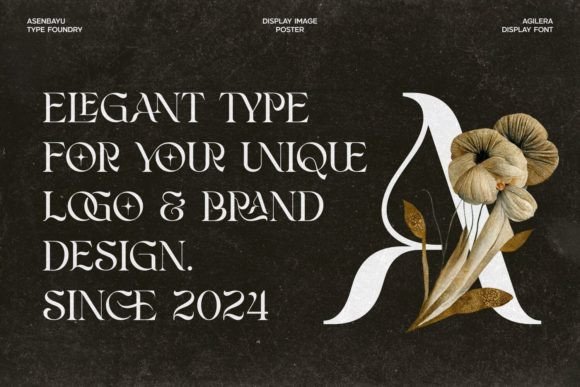 Thumbnail 3 of Agilera Font