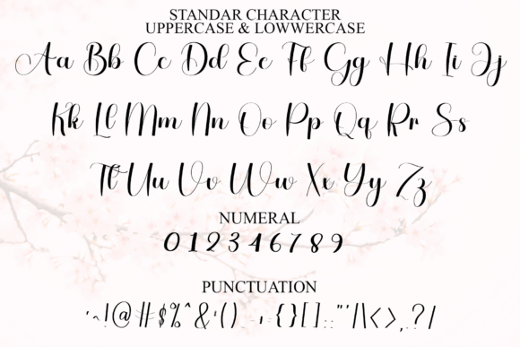 Thumbnail 3 of Alphabet Signature Font