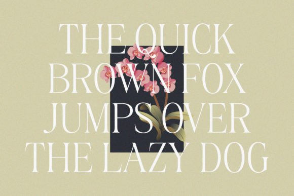 Thumbnail 4 of Belinda Avenue Font