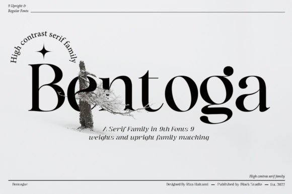 Main preview of Bentoga Font