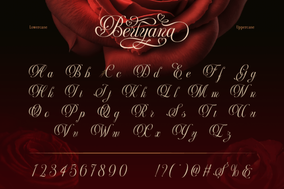 Thumbnail 4 of Berlyana Sensual Font