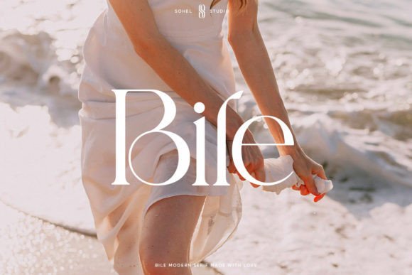 Preview of Bile Font