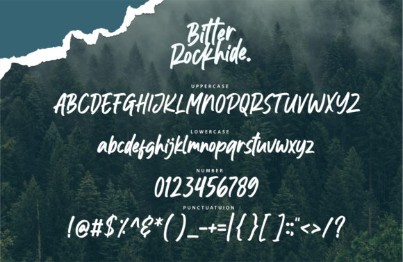 Thumbnail 3 of Bitter Rockhide Font