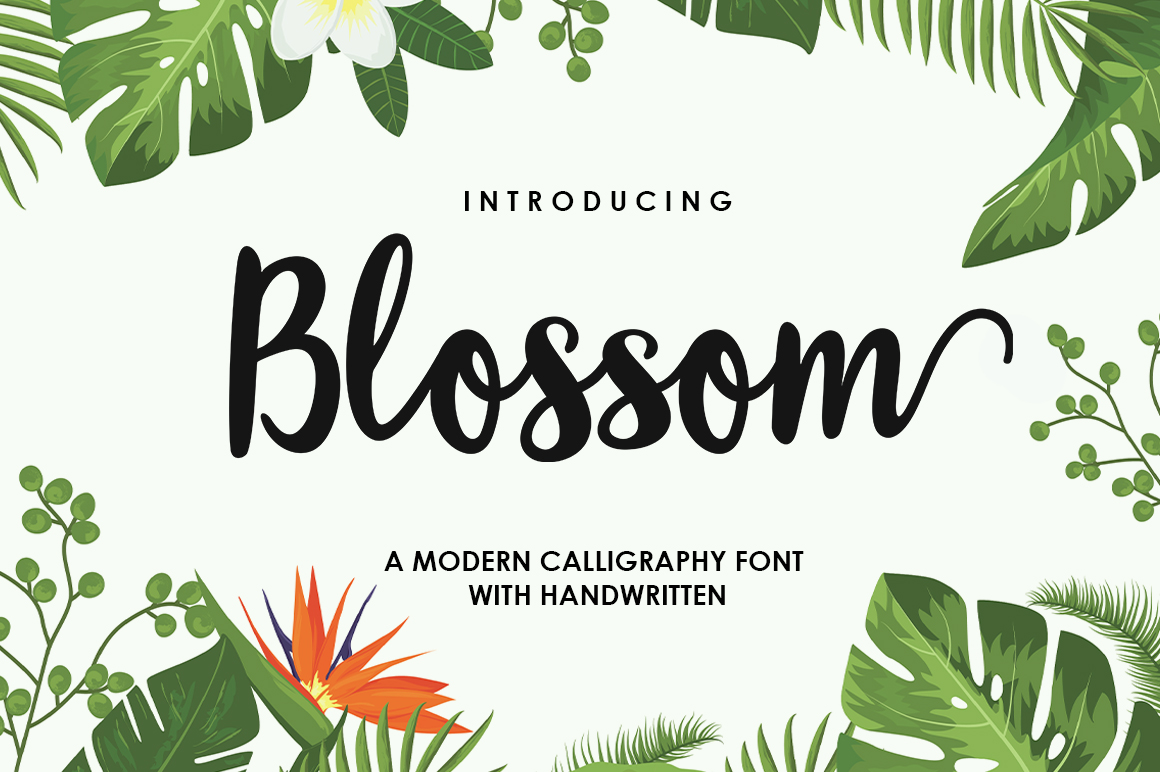 Preview of Blossom Script Font Font