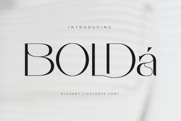 Preview of Bolda Font
