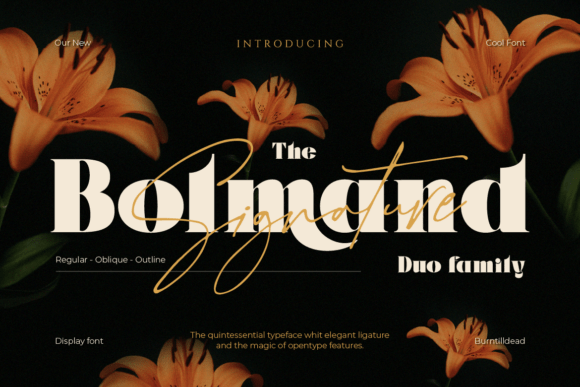 Preview of Bolmand Signature Font