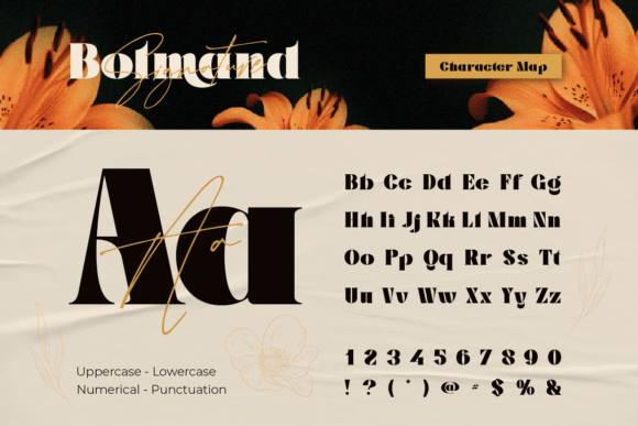 Thumbnail 2 of Bolmand Signature Font