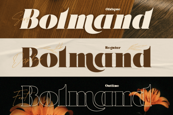 Thumbnail 4 of Bolmand Signature Font