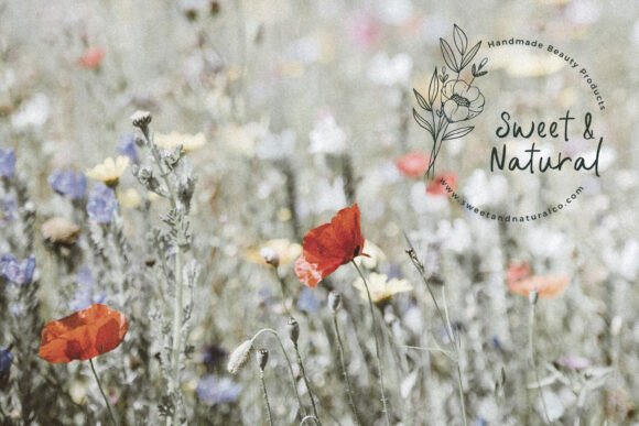 Thumbnail 4 of Botanical Garden Font