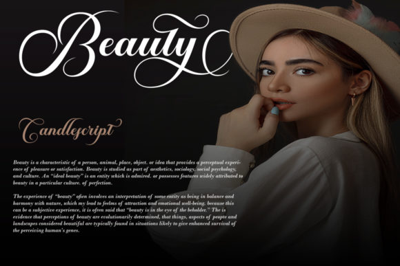Thumbnail 2 of Brailganta Script Font