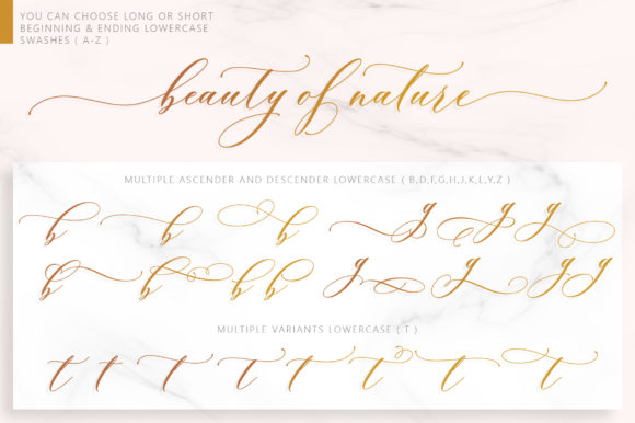 Thumbnail 3 of Brendisa Font