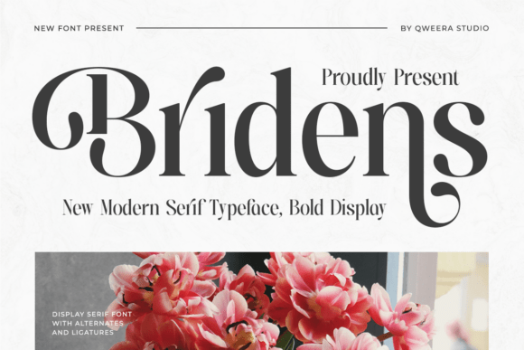Preview of Bridens Font