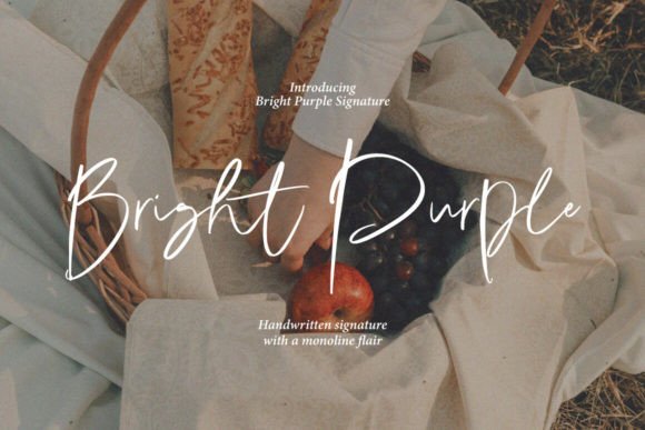 Preview of Bright Purple Font