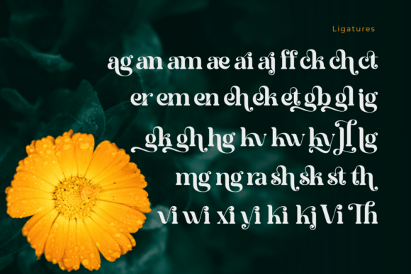 Thumbnail 4 of Bright Vintage Font