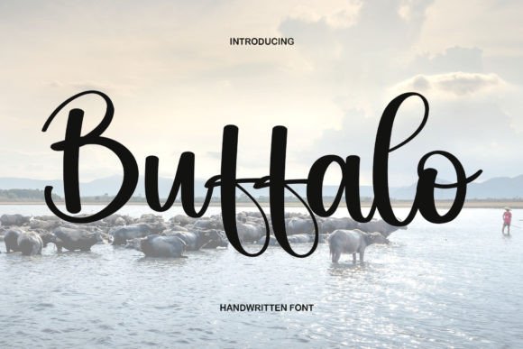 Preview of Buffalo Font