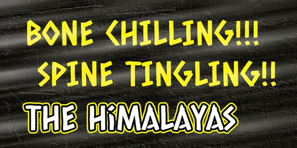 Thumbnail 2 of Caesar Dressing Pro Font