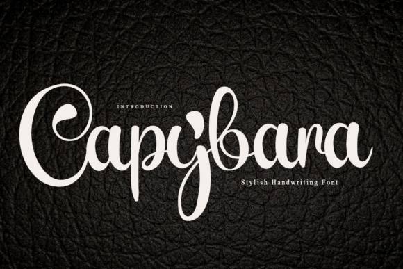 Preview of Capybara Font