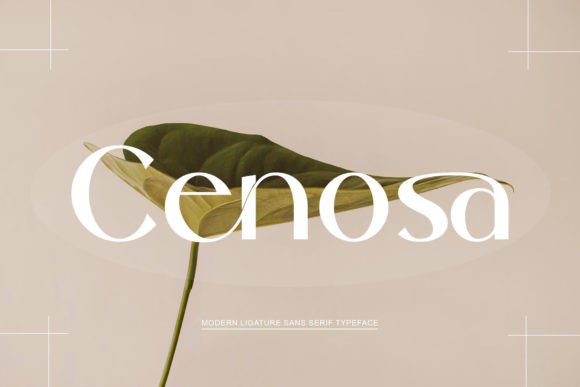 Preview of Cenosa Font