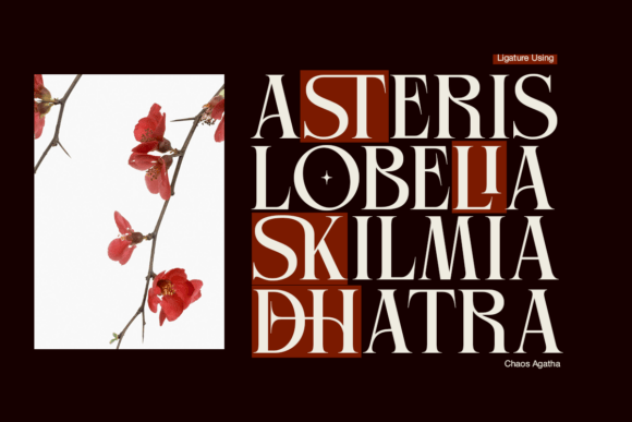 Thumbnail 4 of Chaos Agatha Font