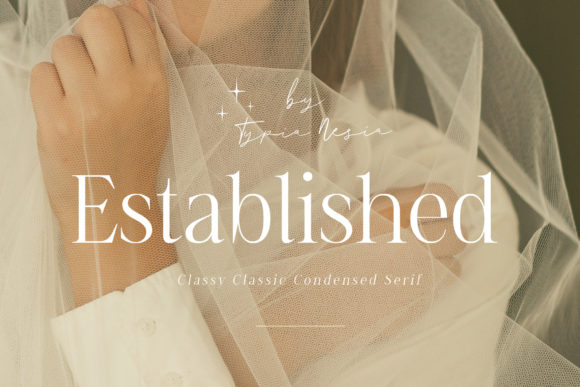 Preview of Established Font